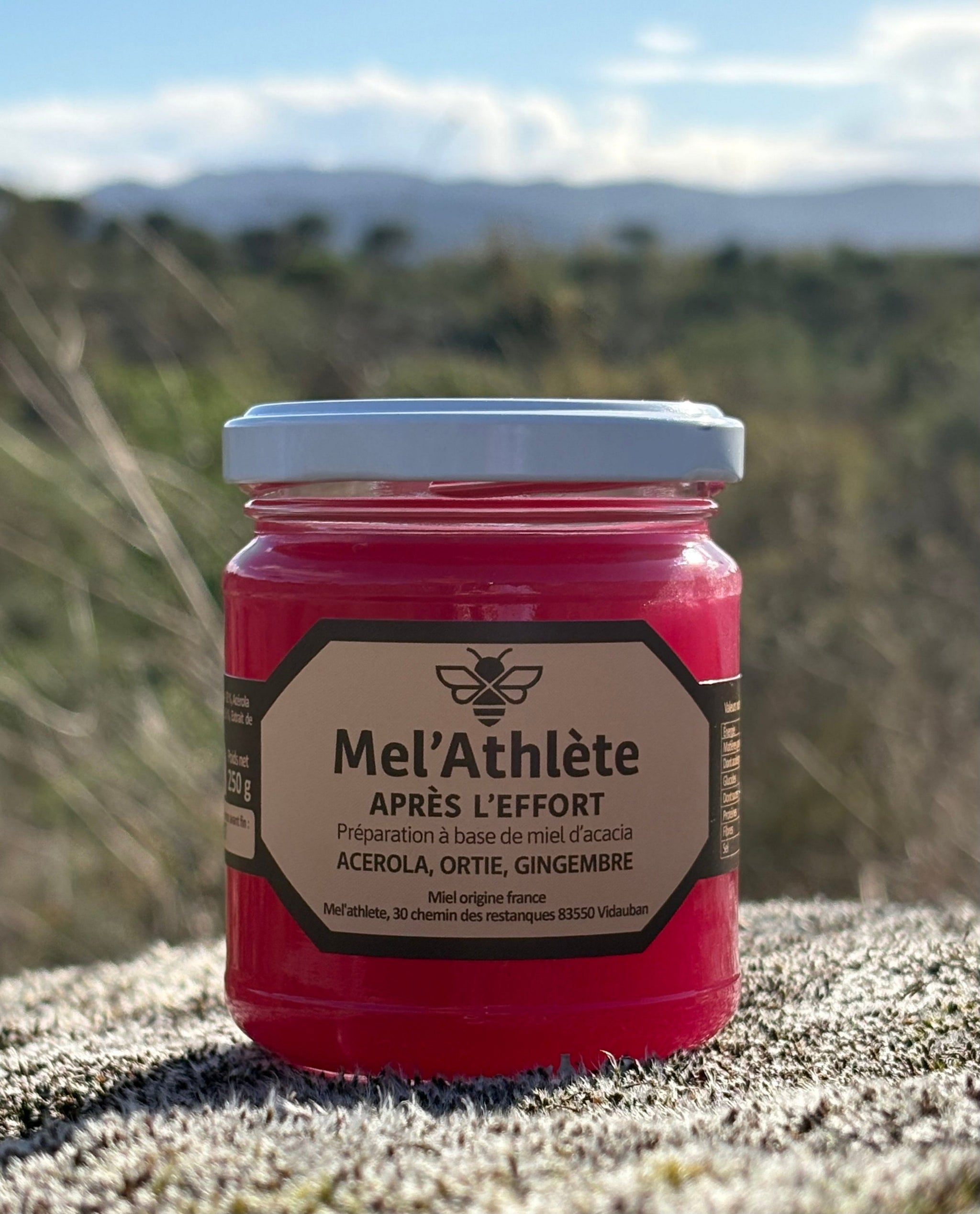 Préparation au miel après l’effort 250g